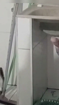 Neighbor in Tiny Shorts Doing Laundry!