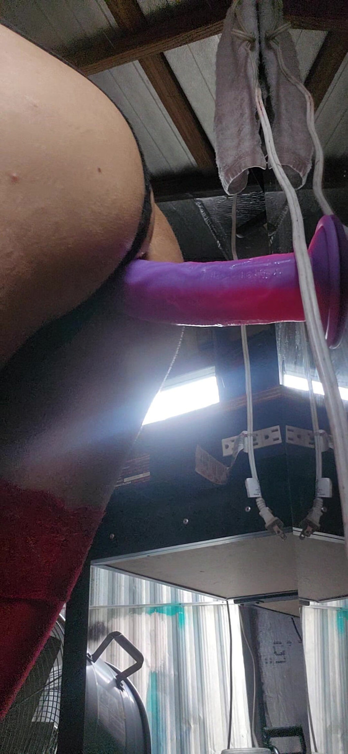 CD Arianna and freinds: Seksowna płyta z nowymi zabawkami