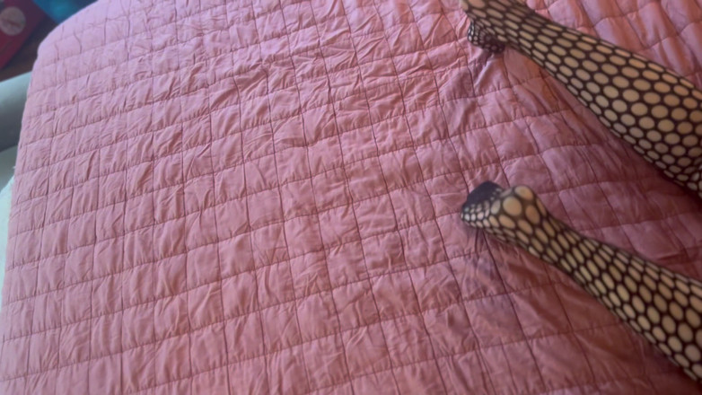 Mister Smiley: Cougar mengambil besar