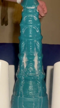 Riding Seahorse Xxl - Feb. 15, 2024