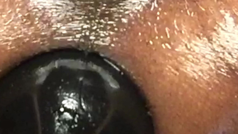 Ms300 Sarazia Exotic: Ms300 Sarazia Exotic - mijn creampie uitrekken en gapend