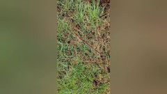Bayer911: Jen Litte Bit Piss Cum Mix Užívejte si