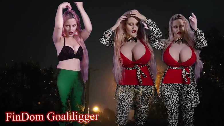 FinDom Goaldigger: Гибрид с трансформацией крыльев