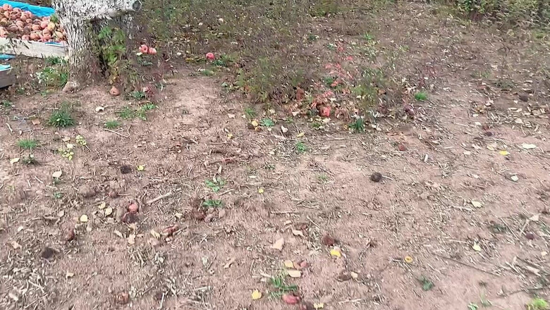 sweethanajapanese: Svuota l'acqua nel Giardino degli Apple