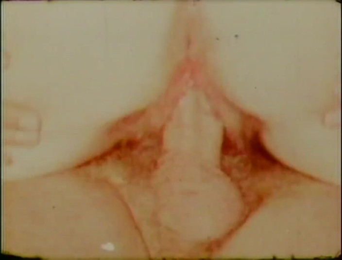 Vintage Usa: Sweet young vintage girl take a big cock
