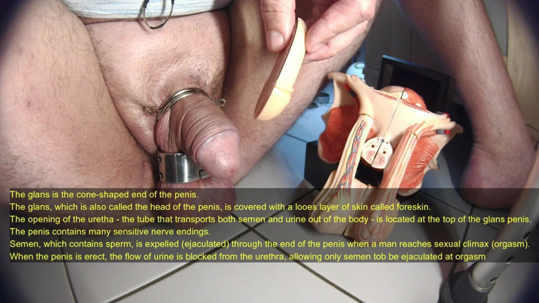 Gaylectrician: male sexual response tutorial