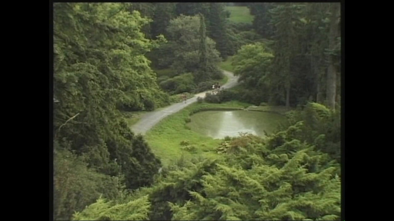 MMV films - The Original: Piękne, napalone, zdzirowate cipki lubią uprawiać seks analny, a następnie...