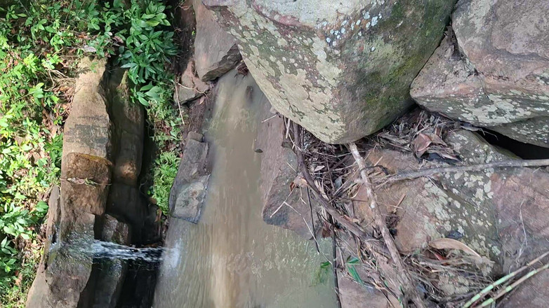 BMCs: स्वर्ग में Purro वांछित गीली प्रकृति के साथ संपर्क