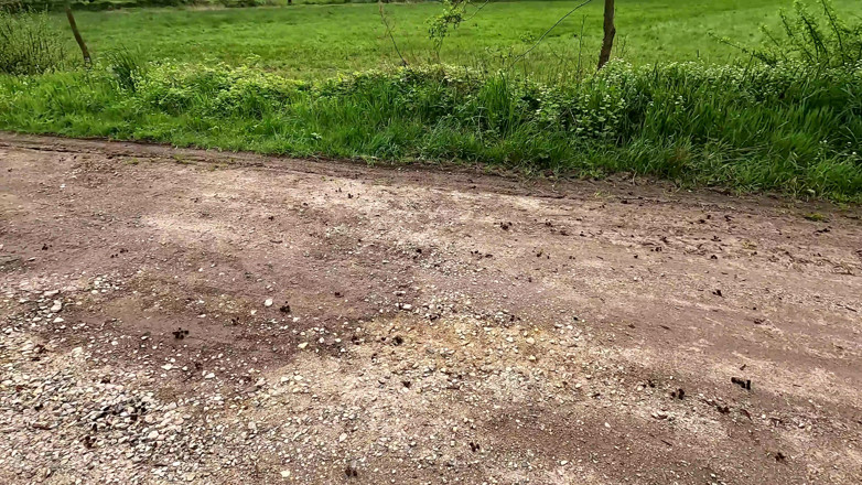 Bouncy Tits Action: Titslapping at Construction Yard