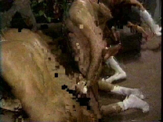 Hot Sex Party: Pasangan antara kaum pertama kali berkongkek dalam pesta seks berkumpulan...