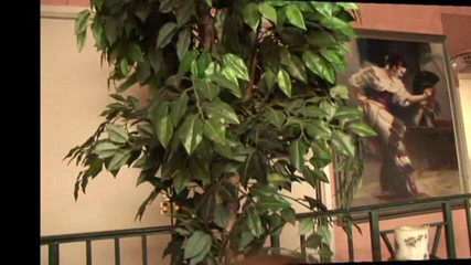 Cryptostudios: 用假鸡巴狠操热辣的abby