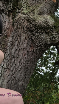 Escalas un árbol con una chica salvaje y ella te da una mamada