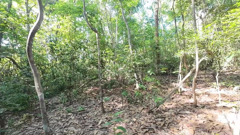 RealThaiSolo: Gadis Thailand lagi asik jalan-jalan dan masturbasi sambil mengencingi kesakitan...
