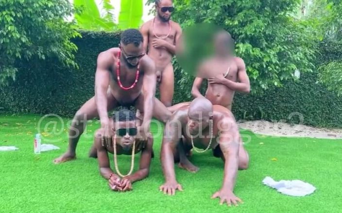 Stallion Digger X: La orgía más elegante