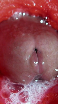 ¡El primer plano del orgasmo interno más hermoso! Asmr gran corrida!