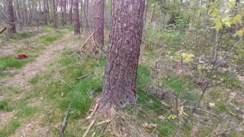 Bouncy Tits Action: Plesnindu-și tare țâțele în timp ce face drumeții prin pădure