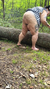 Poesje aangename boom stam spuitend dik hog