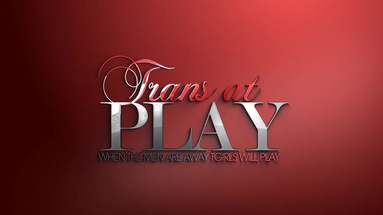 Trans 500: Bayan lux bir anlaşma yapıyor