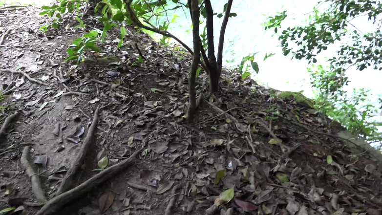 ATK Girlfriends: Lola en zoals altijd plaagt je buitenshuis