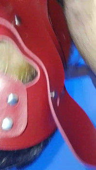 I'm in Love with Big Dicks