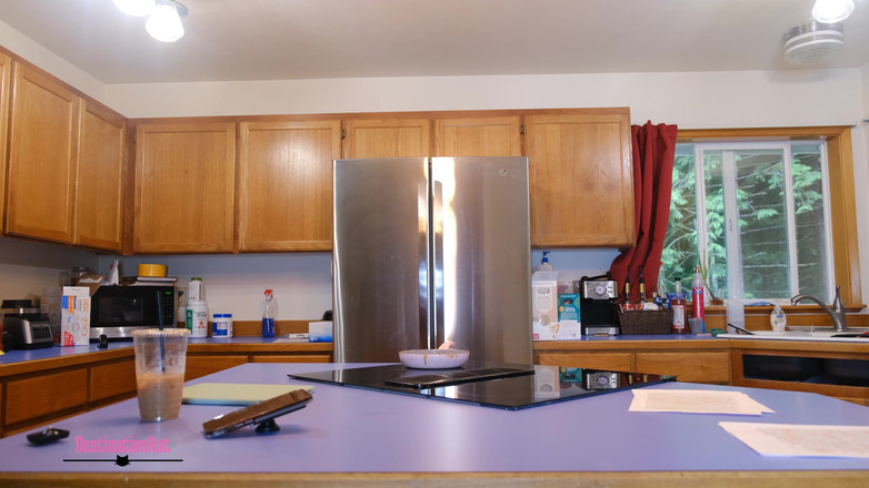 Destination Kat: 남편의 베프