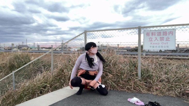 megu2002: 調教師様からの命令　no29　公共ビーチで変態露出