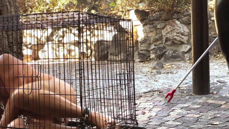 Mistress April: Caged - Kroniki życia u jej stóp