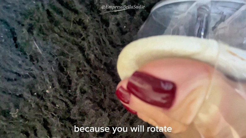 Empress Bella Sadic: Przezroczyste obcasy platformowe i seksowne czerwone paznokcie Imperatrizbella