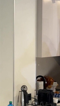 Žhavá a nadržená sexy dlouhá brunetka v černých síťovaných punčochách si vezme její krajkové kalhotky do flash kundičky a zadku