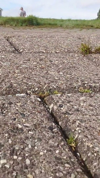 W Pięknych Pończochach Na Morzu Wattowym W Wangerlandzie
