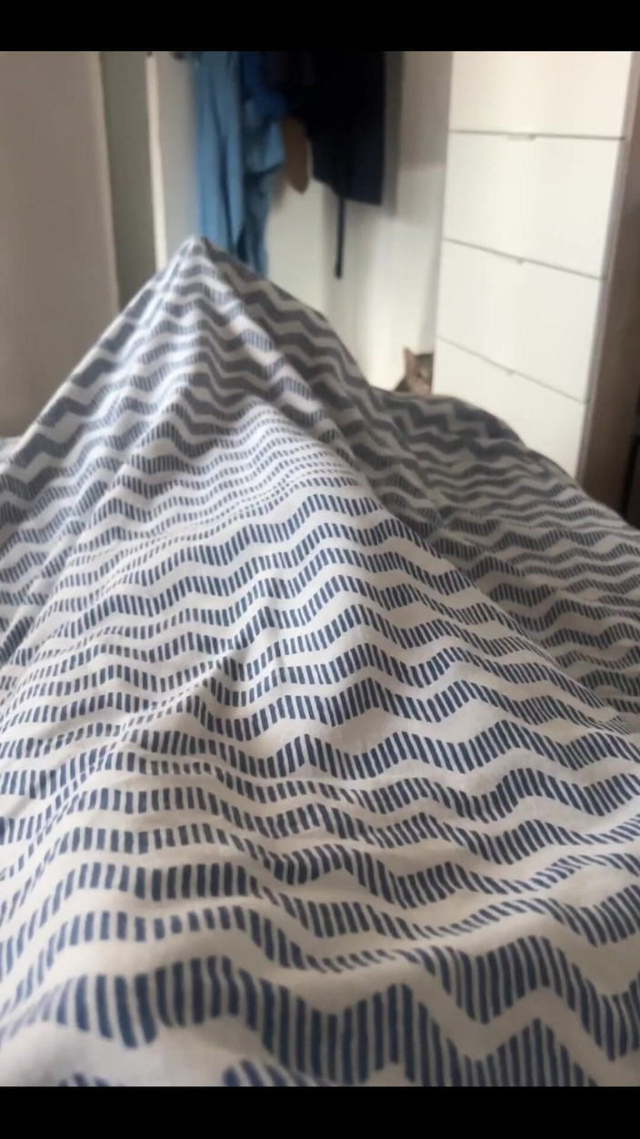 Daddybearvlc: 有人问早上的木头，你去证明