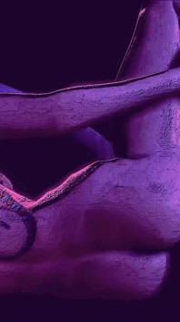 Éditions Funy 8