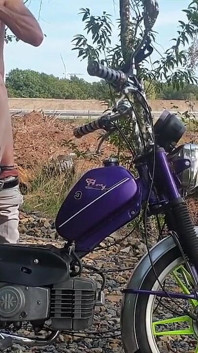 Blowjob Dan Fuck Di Hutan