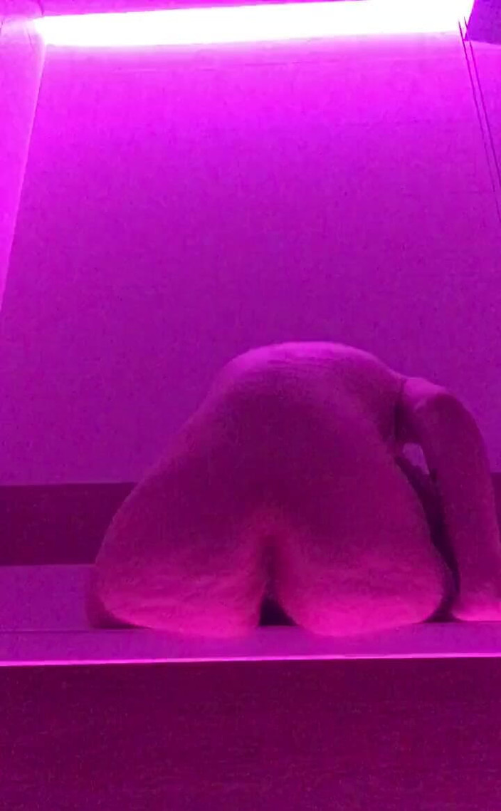 Soft Vulgar: Im Sorry for Dropping It Daddy It Felt to Good,...