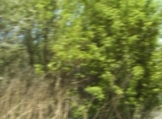 Bareback TV: Jebanie nad rzeką