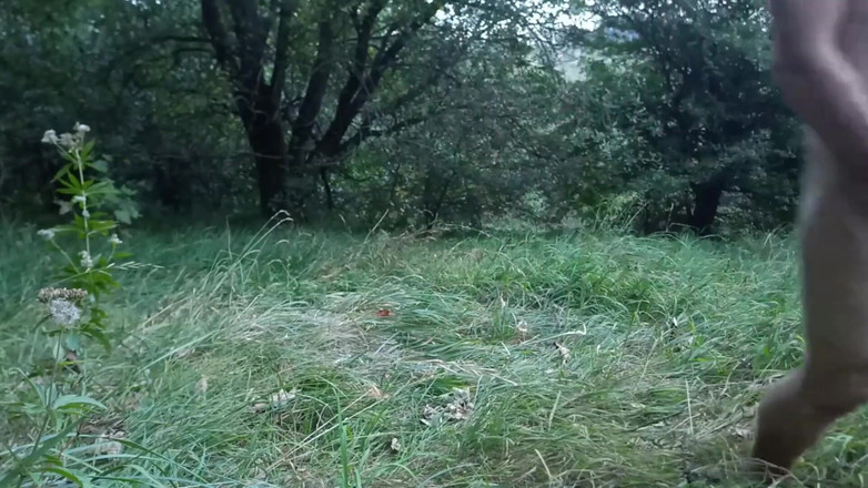 kickerscooter: 射精合集