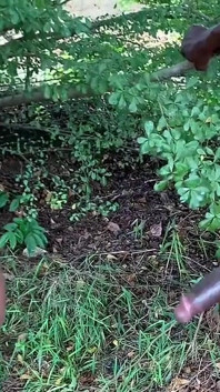 Gay Sex Outdoors Anal Sex in Public