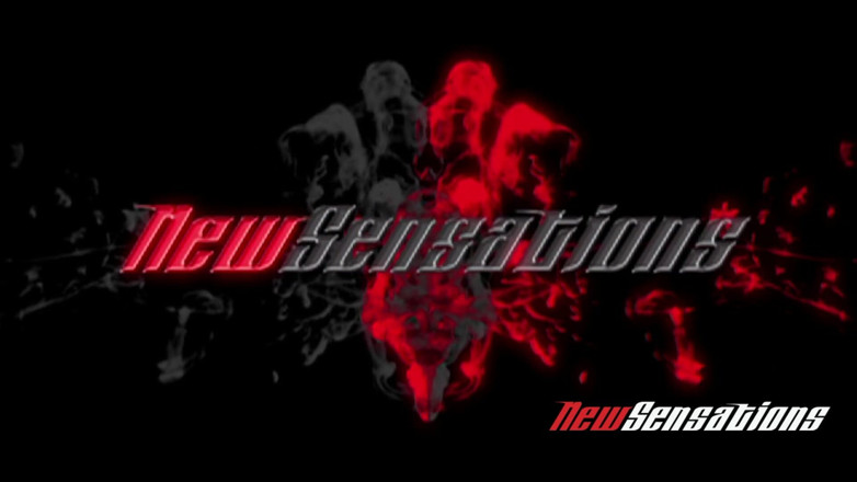 New Sensations: The office nr. 2: Eine XXX-Parodie