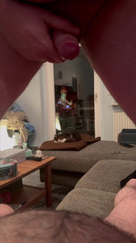 BJ Ile Kocası, Bölüm 3