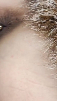 Typ fickte mich und hat meinen pelzmantel versaut
