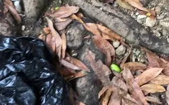 Sex with a Stranger Outdoors Really Delicious