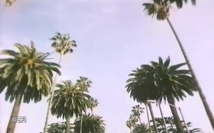 Vintage Vixens: Beverly hills, retro-sexvideo - holländische untertitel