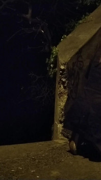 Big Tits Cheating Amateur Wife Gives Rimjob to 18 Year Old Stepson