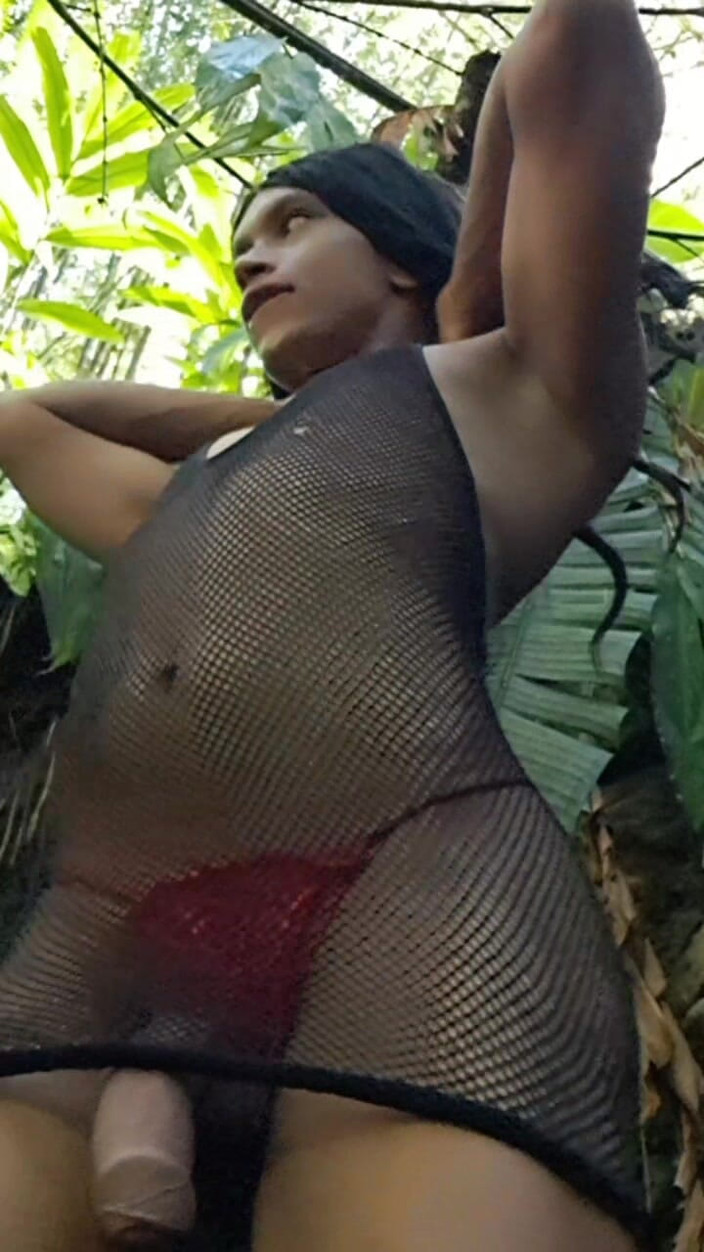 Valera Toro: 森林中的热精爆炸