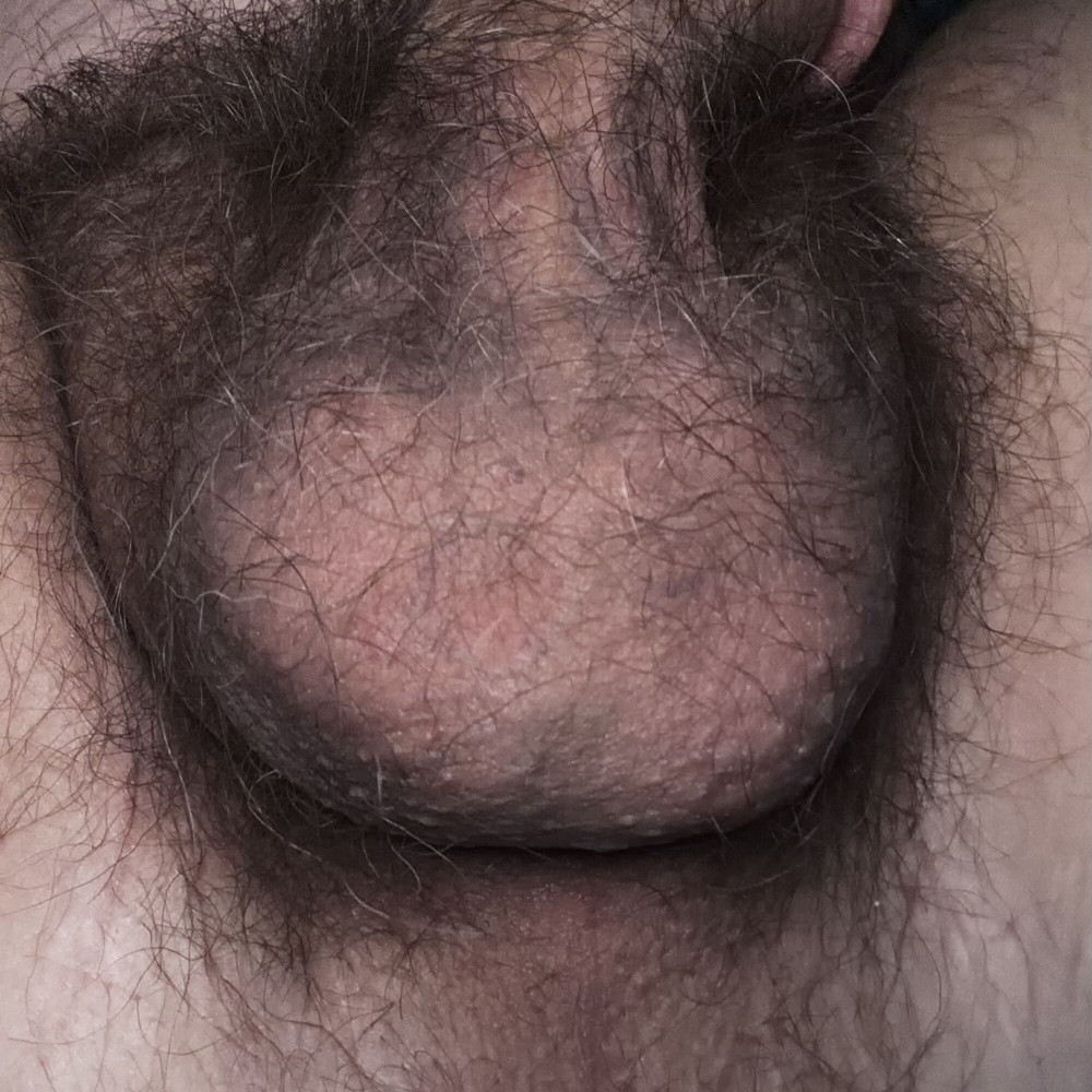 Faphouse