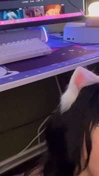 La Ragazza Gamer Fa Un Pompino Da Sotto La Scrivania