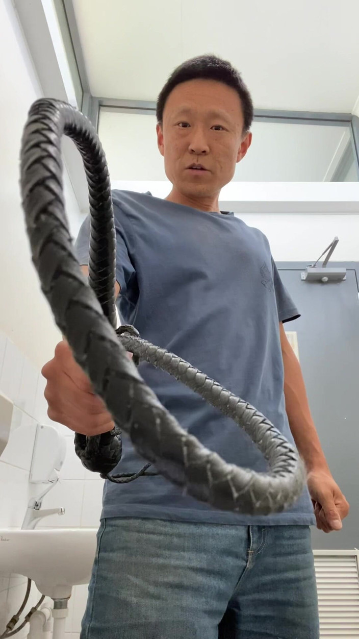 Pink Whip: 主人が奴隷に真実を問う