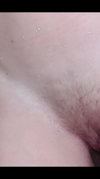 4503797