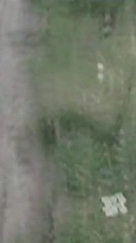 Fuori nel Campo