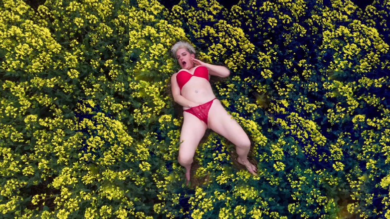 Kylie Britain Adventures: Vedere cu ochiul păsărilor